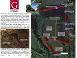 PASSEGGIATA TRA I VIGNETI - Sabato 11 Giugno 2016