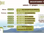 PASSEGGIATA TRA I VIGNETI - Sabato 11 Giugno 2016